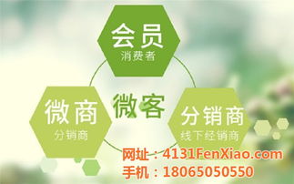 龍海制造，網加賦能 技術推廣如何驅動工廠網絡營銷新篇章